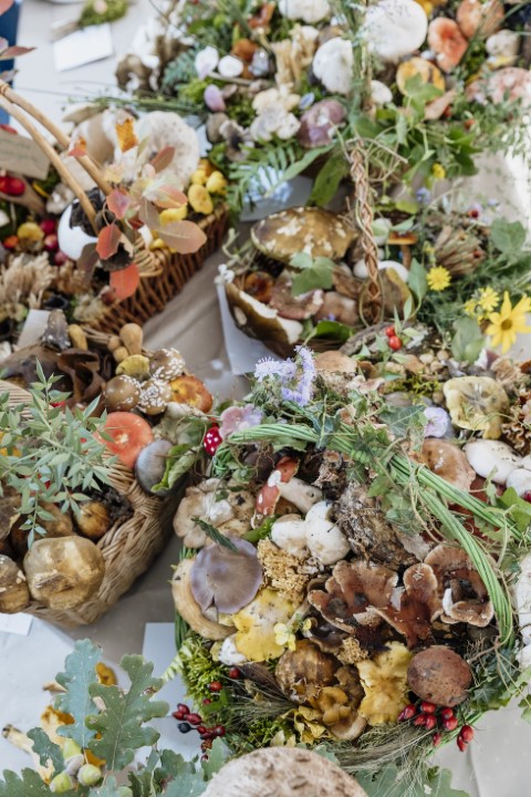 U nedjelju drugi dio Dana gljiva. Ne propustite taj užitak!